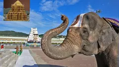 టీటీడీ బోర్డు ఏర్పాటులో జాప్యానికి అవేనా కారణాలు?