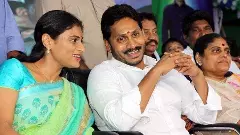 జగన్‌కి ఊరట, షర్మిలకి దెబ్బ – షేర్ల బదిలీపై ట్రిబ్యునల్ స్టే