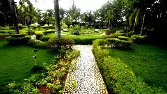 అడవిలో వెలసిన ఆనంద బృందావనం!