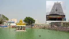 28 నుంచి ప‌ద్మావ‌తి అమ్మ‌వారి బ్ర‌హ్మోత్స‌వాలు