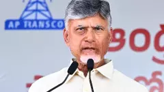 కొవ్వెక్కి కొట్టుకుంటున్నారా? మీ మదం తగ్గిస్తా! చంద్రబాబు వార్నింగ్