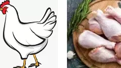 కార్తీక మాసంలో చికెన్ ధర కొండెక్కిందేమిటీ?