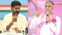 మహరాష్ట్రలో రేవంత్ చెప్పినవన్నీ అబద్ధాలేనా..!