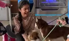 MUMBAI Dogs ఎయిర్ పోర్టులో భావోద్వేగాలకు కుక్కలతో చెక్!