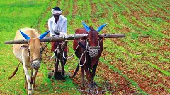 కొట్లాడి తెచ్చుకున్న తెలంగాణలో ఇలా కొల్లగొడుతున్నారేమిటి?