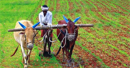 కొట్లాడి తెచ్చుకున్న తెలంగాణలో ఇలా కొల్లగొడుతున్నారేమిటి?