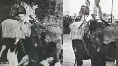 Indira Gandhi/ఇందిరా గాంధీ ఫోటో వెనక కథేంటి? రాజకీయం ఏమిటి?