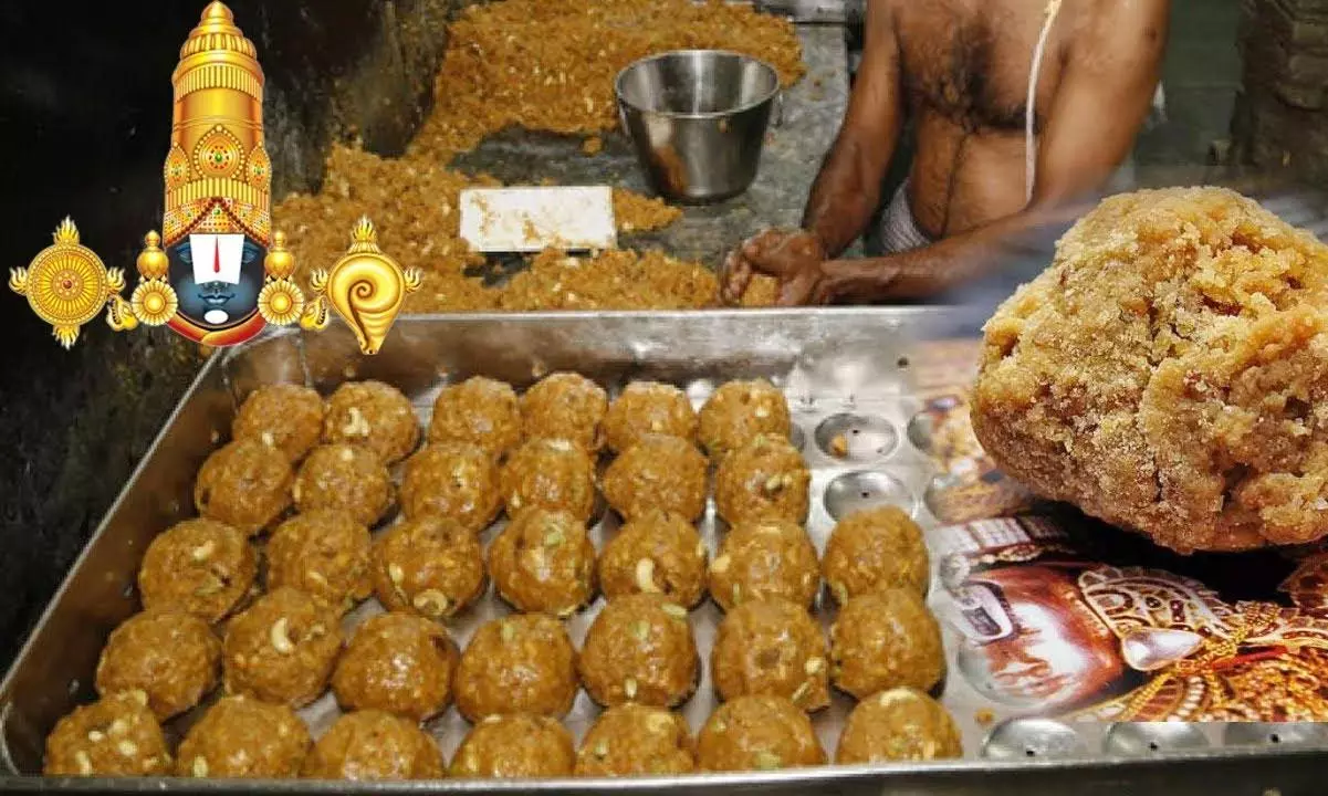 TTD LADDU| తిరుమలలో కల్తీ నెయ్యి డొంక కదులుతోంది!