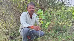 ప్లాస్టిక్‌ ప్రపంచంలో ఆకుపచ్చని మనిషి!