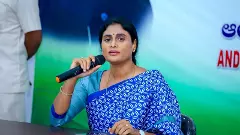 పేదల పొట్టకొట్టి.. పందికొక్కుల్లా తిన్నారు