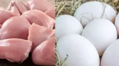 EGG RATE | గుడ్డు ధర గుబిల్లు.. కూతపెడుతున్న కోడి కూర!