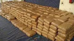 పండ్ల ట్రేలలో గంజాయి పొట్లాలు