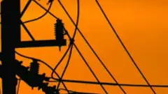 Farmer dies | పందుల కోసం తీసిన కరెంటుకు రైతు బలి