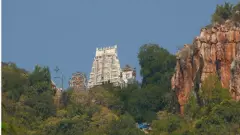 తిరుమలలో 17 నుంచి తిరుప్పావై, మాడభూషి శ్రీధర్ చెబుతున్న విశేషాలు