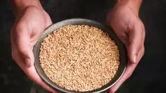 పంటల కనీస మద్ధతు ధరకు చట్టబద్ధత ఎప్పుడు?