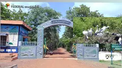 Flamingo Festival | విదేశీ అతిథుల కోసం ఓ పండుగ