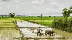 రైతుల ఆత్మహత్యలు ఆగినప్పుడే రైతు దినోత్సవానికి అర్థం