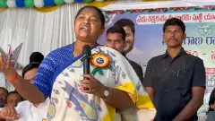 సీతక్క  మాటలు సినిమా ఫాన్స్ కు అర్థమవుతాయా?