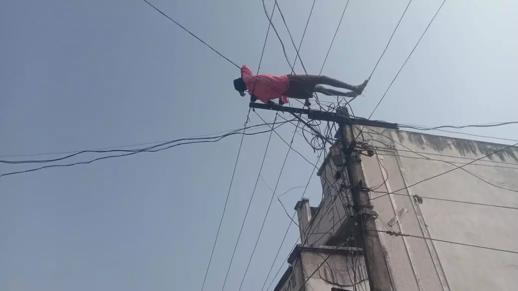 కరెంటు  స్తంభం తీగలపై వెంకన్న విన్యాసం