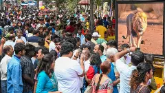 CHITRA SANTA | బెంగళూరు చిత్ర సంతను చూసొద్దాం పదండి!