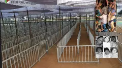 Tirupati stampede | తొక్కిసలాట: ఈ పాపం పోలీసులది కాదు : డీఐజీ