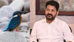 Revanth and Kingfisher|‘కింగ్ ఫిషర్’పై రేవంత్ ప్రభుత్వం దెబ్బ ?