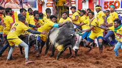 తమిళనాడులో జల్లికట్టు విజేతలకు ఈసారి భారీ ప్రైజ్‌లు..