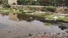 Musi Pollution |మూసీ కాలుష్యంపై ఫోరం ఫర్ గుడ్ గవర్నెన్స్ నివేదిక