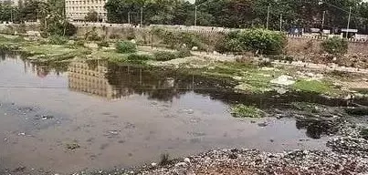 Musi Pollution |మూసీ కాలుష్యంపై ఫోరం ఫర్ గుడ్ గవర్నెన్స్ నివేదిక