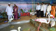 FLamingo |ఫ్లెమింగో ఫెస్టివల్ : రెక్కలు విప్పిన ఆనందం