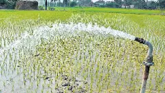 Ground Water | తెలంగాణలో పెరిగిన భూగర్భ జలసిరులు