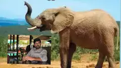 Elephant attack | ఏనుగుల దాడిలో సీఎం బంధువు మృతి
