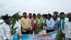 Turmeric Board | పసుపుబోర్డు ఏర్పాటు సరే, మా సమస్యలు తీరేదెన్నడు?