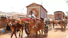 జహీరాబాద్ జిల్లాలో తెలంగాణ ‘పాతపంటల జాతర’