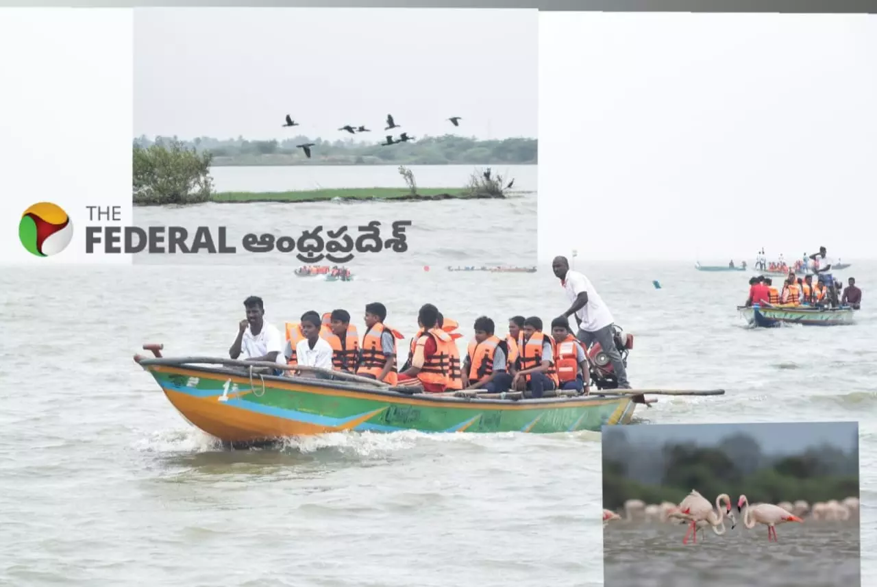 Excursion to Pulicat Lake | పులికాట్ పక్షుల లోకంలో తేలియాడిన ఆనందం