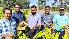 GI TAG | ఆర్మూర్ పసుపు రైతులకు మరో శుభవార్త,త్వరలో జీఐ ట్యాగ్