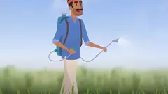 NANO-UREA | నానో-యూరియా ఢమాల్, తగ్గిన వరి, గోధుమ దిగుబడి!