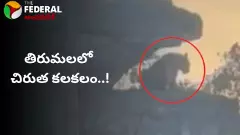 Leopard Spotted At Tirumala || తిరుమలలో చిరుత కలకలం..!