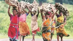 కటిక దరిద్రంలో ఏపీ ఎస్టీలు