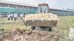 Poultry|కళ్లు తేలేసి చనిపోతున్న కోళ్లు