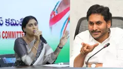 PCC Chief Sharmila | కాంగ్రెస్ లో షర్మిల ఒంటరి అయ్యారా?