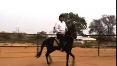 MLA ANIRUDH REDDY | ఎమ్మెల్యే వెండి ఫర్నిచర్ అఫిడవిట్‌లో అంతర్ధానం