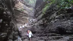 Saleshwaram | త్వరలో సలేశ్వరానికి సఫారీ యాత్ర...