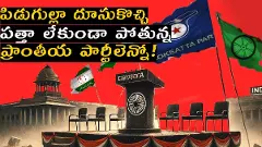 పిడుగుల్లా దూసుకొచ్చి పత్తా లేకుండా పోతున్న ప్రాంతీయ పార్టీలెన్నో!