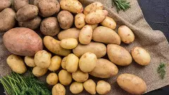 బంగాళదుంప రైతులకు బెంగాల్ గుడ్‌న్యూస్