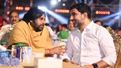 కేసులపై జనసేన రంగంలోకి దిగింది