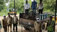 తెలంగాణ పల్లెల్లో 3 కోట్ల కోతుల సంచారం,ఈ బెడద నివారించేదెన్నడు?