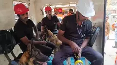 టన్నెల్‌లో రెండు మృతదేహాలున్న ప్రాంతాలను క్యాడవర్ డాగ్స్ గుర్తించాయి