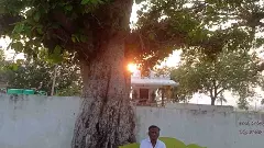 పశువులు బయటకు పోతానే, దొరగారి పశువుల దొడ్డి బడిగా మారిపోయేది...