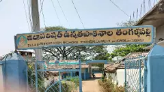 అమ్మమ్మ ఊరికి నా ప్రయాణం, బాలారిష్టాలు